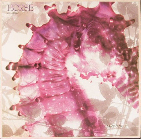 Horse (3) : Sweet Thing (12", Maxi)