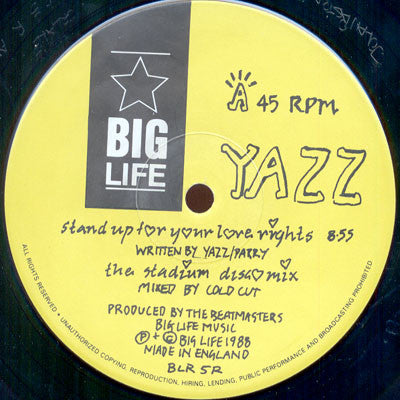 Yazz : Stand Up For Your Love Rights (The Remixes) (12")