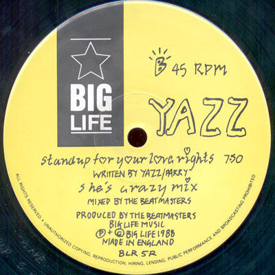 Yazz : Stand Up For Your Love Rights (The Remixes) (12")