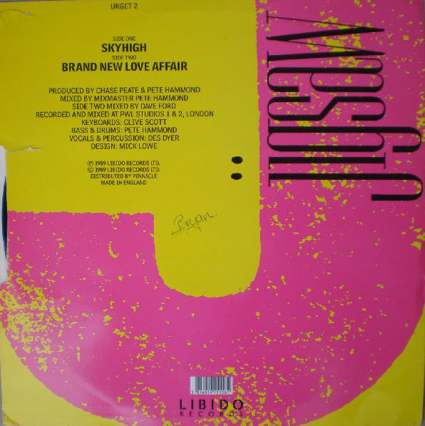 Jigsaw (3) : Skyhigh (12")