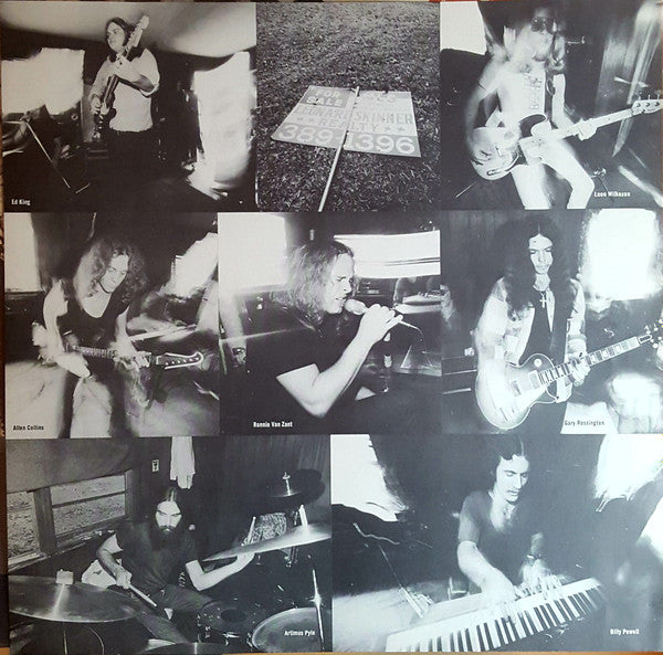 Lynyrd Skynyrd : Nuthin' Fancy (LP, Album)