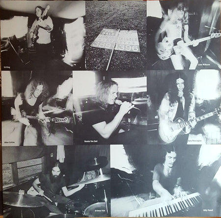 Lynyrd Skynyrd : Nuthin' Fancy (LP, Album)