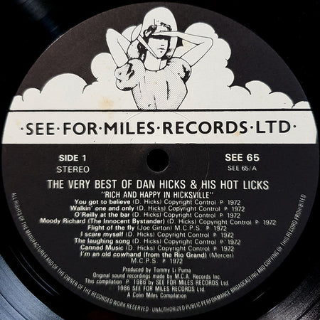 Dan Hicks And His Hot Licks : The Very Best Of (LP, Comp)
