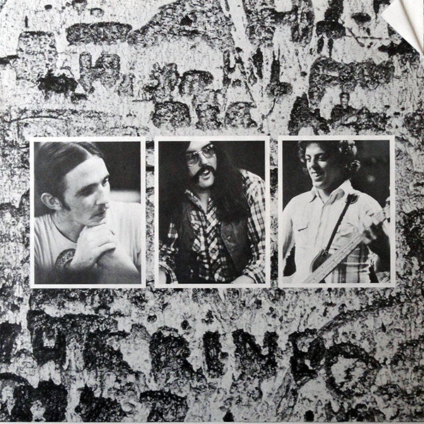 Rory Gallagher : Against The Grain (LP, Album, RE)