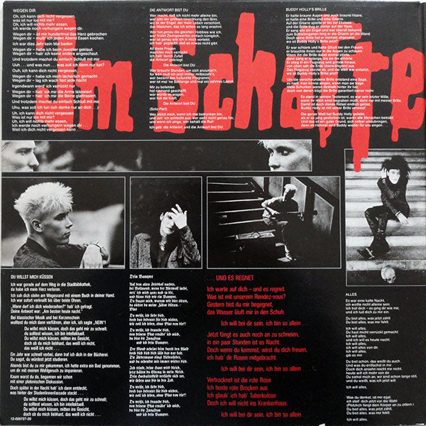 Die Ärzte : Im Schatten Der Ärzte (LP, Album)