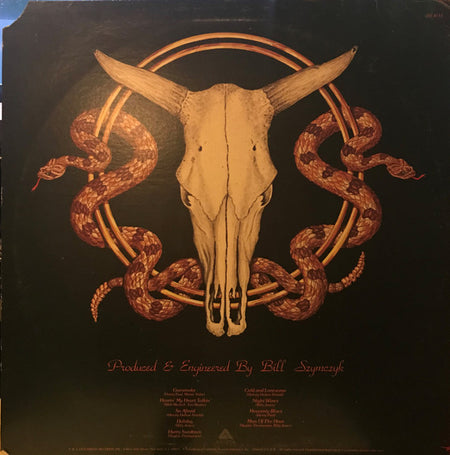 Outlaws : Hurry Sundown (LP, Album)