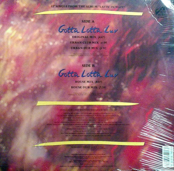 Lenny Williams : Gotta Lotta Luv (12", Single)