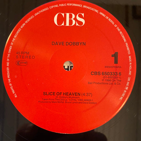 Dave Dobbyn : Slice Of Heaven (12", Maxi)