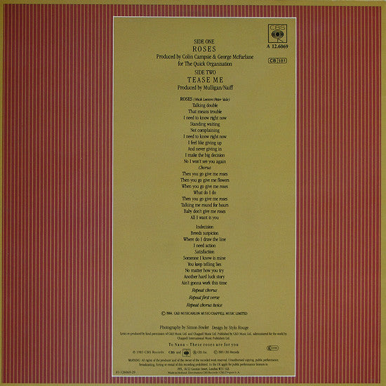 Haywoode : Roses (Extended Version) (12", Maxi)