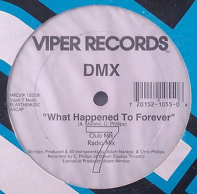 DMX (2) : Do You Feel / What Happened To Forever (12")