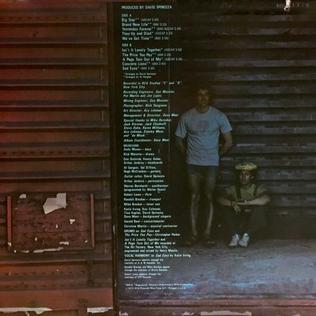 Stark & McBrien : Big Star (LP, Album)