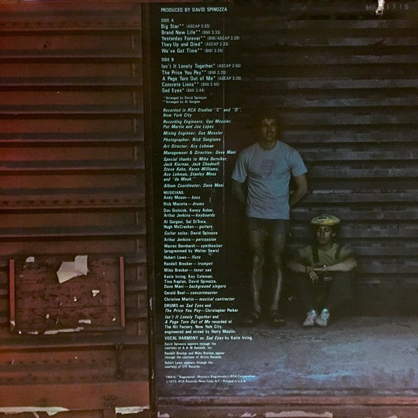 Stark & McBrien : Big Star (LP, Album)