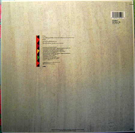 Tanita Tikaram : World Outside Your Window (12")