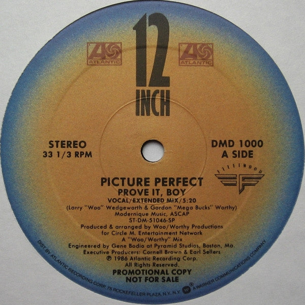 Picture Perfect (2) : Prove It, Boy (12", Promo)