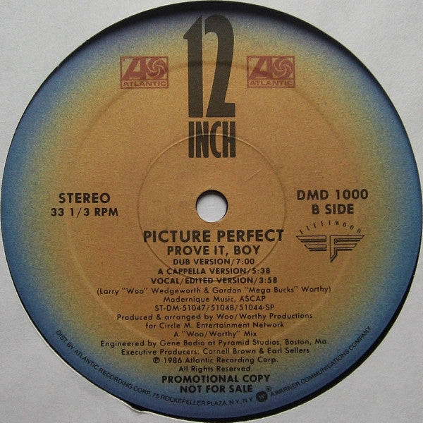 Picture Perfect (2) : Prove It, Boy (12", Promo)