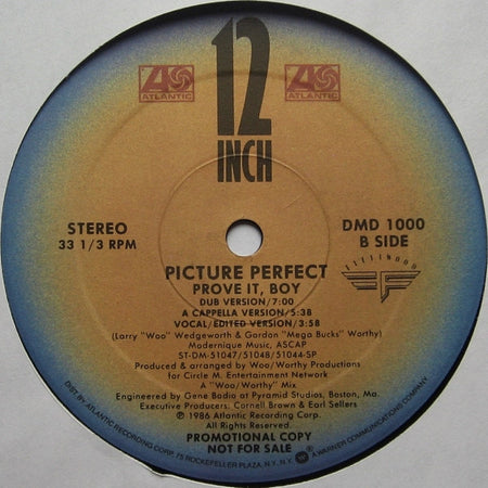 Picture Perfect (2) : Prove It, Boy (12", Promo)