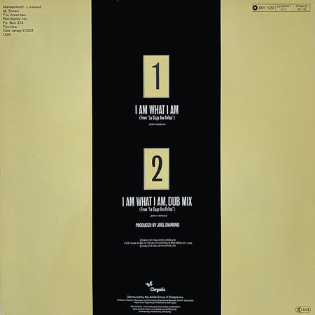 Gloria Gaynor : I Am What I Am (12", Maxi, RE)