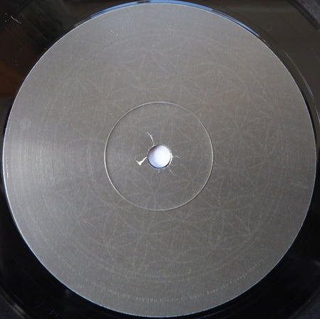 Tool (2) : Ænima (2xLP, Album, Gat)