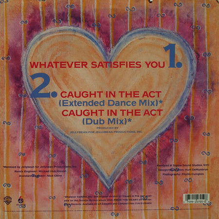 Jocelyn Brown : Whatever Satisfies You (12", Maxi)