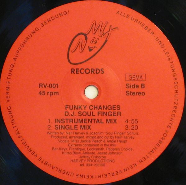 DJ Soul Finger : Funky Changes (12")