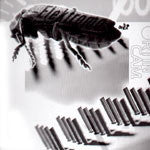 Ortin Cam : Fed Up EP (12")
