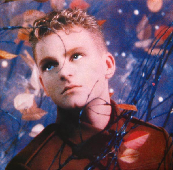 Erasure : Wild! (LP, Album)