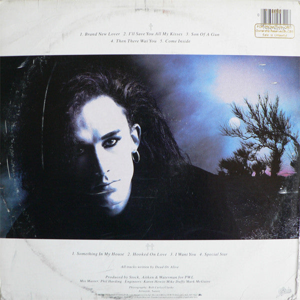 Dead Or Alive : Mad, Bad And Dangerous To Know (LP, Album, Car)