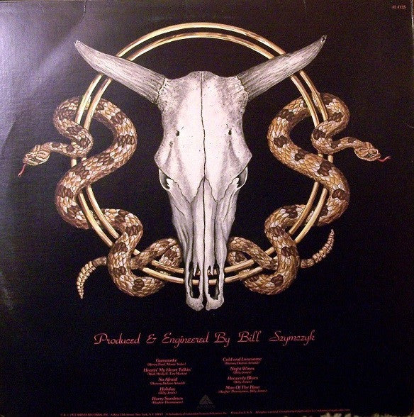 Outlaws : Hurry Sundown (LP, Album, All)