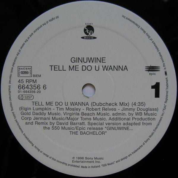 Ginuwine : Tell Me Do U Wanna (12")