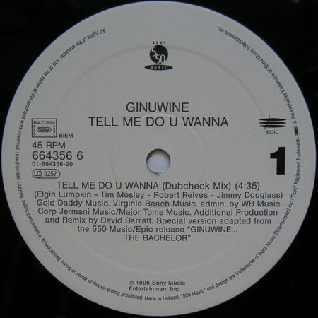 Ginuwine : Tell Me Do U Wanna (12")
