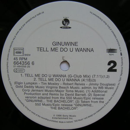 Ginuwine : Tell Me Do U Wanna (12")