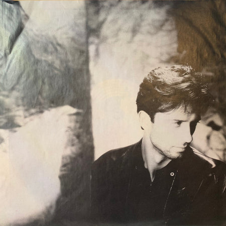 Raf (5) : Svegliarsi Un Anno Fa (LP, Album)
