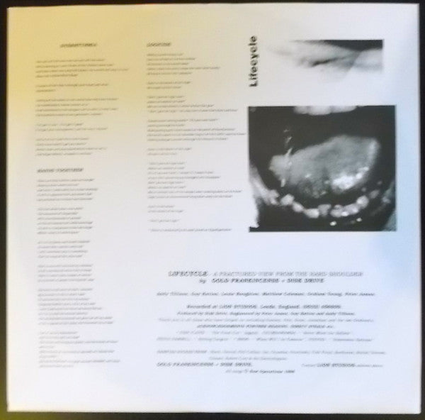 Gold, Frankincense + Disk- Drive : Lifecycle - A Fractured View From The Hard Shoulder (LP)