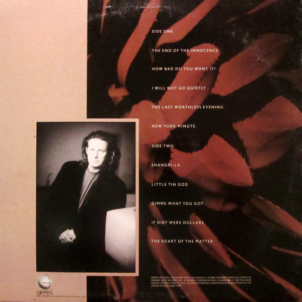 Don Henley : The End Of The Innocence (LP, Album, Club, Car)