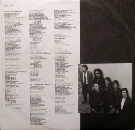 Don Henley : The End Of The Innocence (LP, Album, Club, Car)