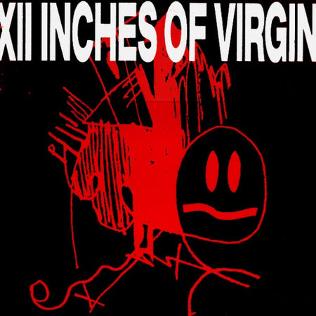 Various : XII Inches Of Virgin (LP, Comp)