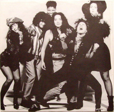 Wendy & Lisa : Eroica (LP, Album)