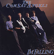 The Comsat Angels : I'm Falling (12")