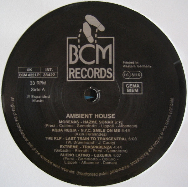 Various : Ambient House - The Compilation By DFC (LP, Comp)