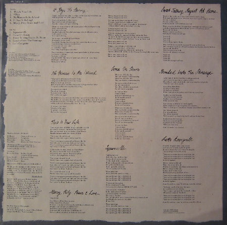The Blow Monkeys : Whoops! There Goes The Neighbourhood (LP, Album)