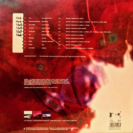 Various : Storm From The East 2 (3x12", Comp)