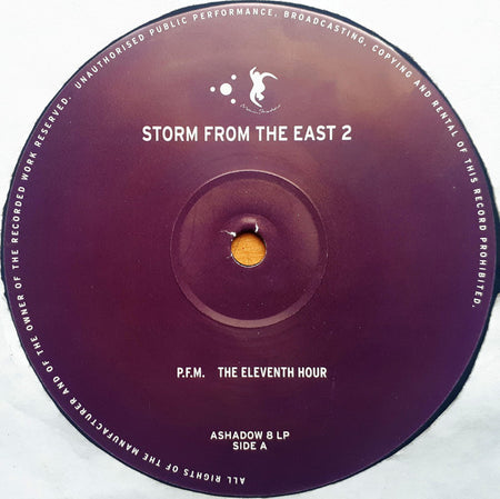 Various : Storm From The East 2 (3x12", Comp)