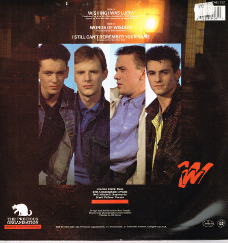 Wet Wet Wet : Wishing I Was Lucky (12", Single)