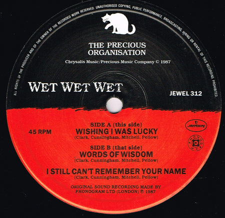 Wet Wet Wet : Wishing I Was Lucky (12", Single)