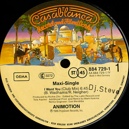 Animotion : I Want You (12", Maxi)