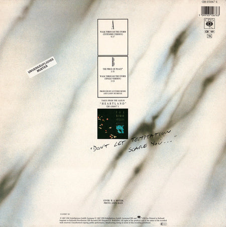 The Window Speaks : Walk Through The Storm (12", Maxi)