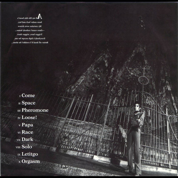 Prince : Come (LP, Album)