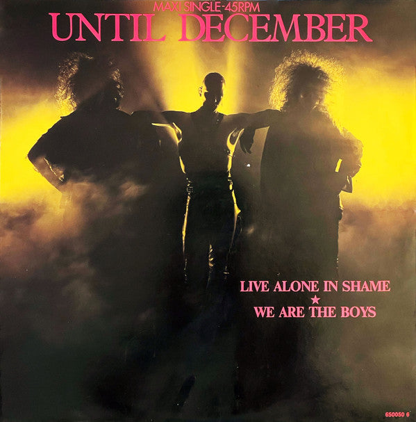 Until December : Live Alone In Shame / We Are The Boys (12", Maxi)