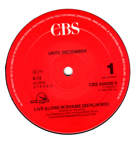Until December : Live Alone In Shame / We Are The Boys (12", Maxi)